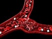 World Sickle Cell Day 2022: Understanding This Blood Disorder And Its Complications
