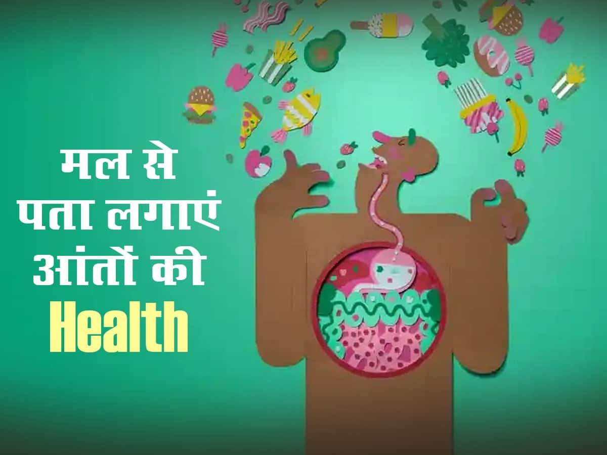 Types of stool in hindi 7 प्रकार का होता है मल! Stool से पता लगाएं