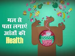7 प्रकार का होता है मल! Stool से पता लगाएं कैसी हैं आपकी आंतें, जानें आंतों को हेल्दी बनाने के 5 तरीके
