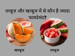 गर्मियों में तरबूज और खरबूज में से क्या खाना ज्यादा फायदेमंद है, जानिए दोनों के पोषक तत्व और फायदे