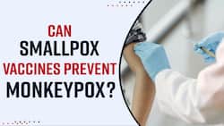 Monkeypox Outbreak : Monkeypox has been declared global health emergency by WHO, Watch Video