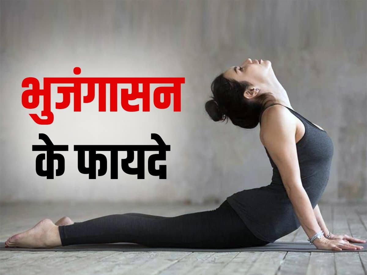 Bhujangasana (Cobra Pose) Benefits, How to Do & Contraindications by Yogi  Sandeep - Siddhi Yoga - YouTube