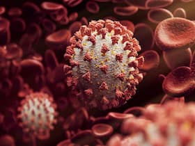 Will Omicron's BA 2.75 Variant Pose A New Threat To Rising Covid Cases In Delhi?