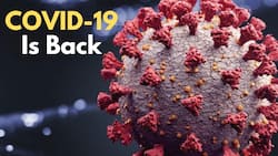 'Keep Your Masks On, COVID Is Still Here: India Adds 17,092 New Cases in 24 Hours