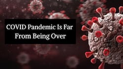 New Omicron Sub-Variant BA.2.75 May Bring Second-Largest US COVID Wave: Severity, Transmissibility And More