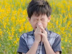 Childhood Allergies Causes And Transmission: What You Need To Do As A Parent