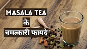 Benefits Of Masala Tea: बरसात में मसाला चाय पीने के है अनेक फायदें, Watch Video