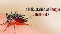 Dengue, Malaria To Chikungunia: Vector Borne Diseases Are Spreading Rapidly In India, Warning Symptoms To Know