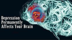 Shrinking The Brain To Causing Inflammation: Stress Can Permanently Damage Your Brain