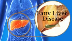 Non-Alcoholic Fatty Liver: ONE Symptom That Only Appears In the Morning - Check It Out
