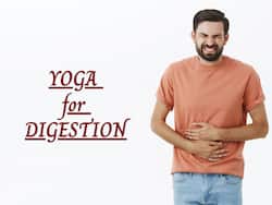 Facing Digestive Issues? Alia Bhatt's Trainer Shares Yoga Asanas To Boost Digestion