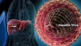 Endocrine Disorders To Liver Damage: The Effects of Hepatitis C on Your Body