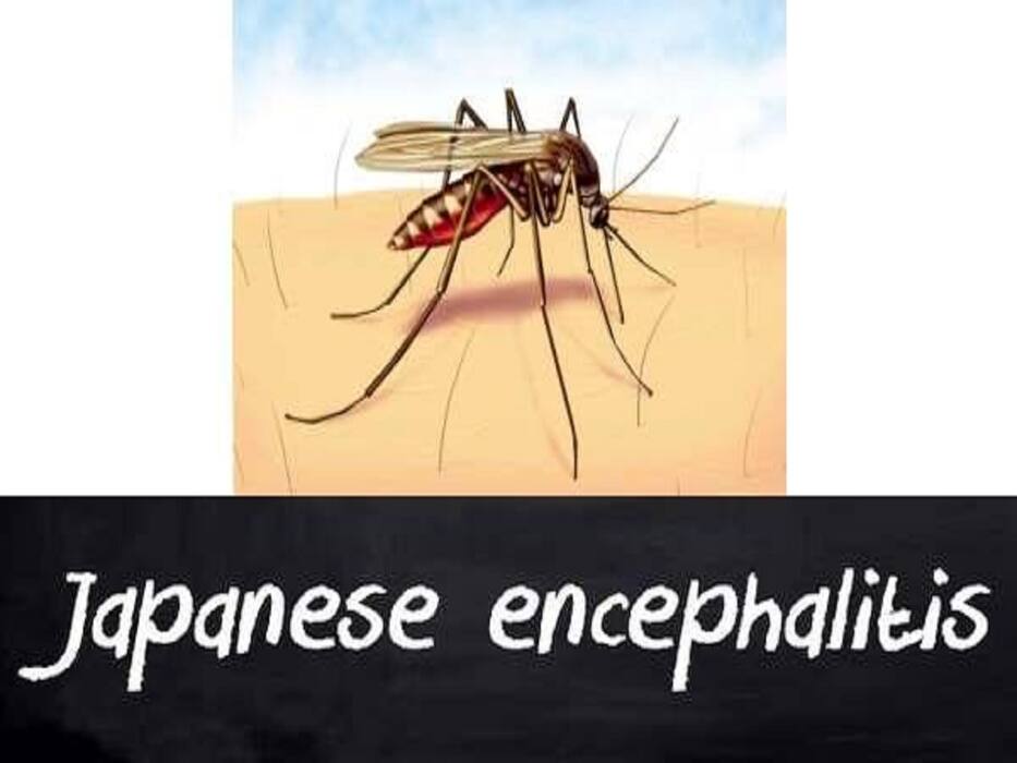 From Monkeypox To Mosquito-Borne Diseases: Health Diseases Spreading Rapidly In India