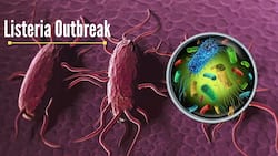 Listeria Outbreak In US: Over Dozens Hospitalised, CDC Finds Link To Ice Cream Brand