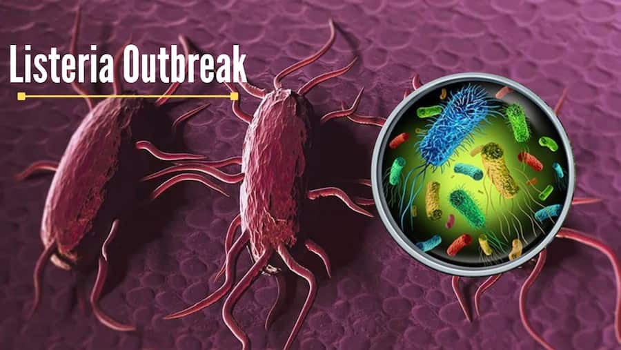 Listeria Outbreak In US: One Dead, Over Dozens Hospitalised; CDC Finds Link To Ice Cream Brand