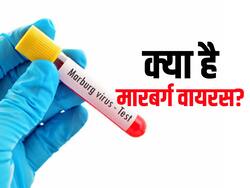 इबोला की तरह ही फैल सकता है मारबर्ग वायरस (Marburg virus), WH0 ने बताया इस देश में मिले 2 संदिग्ध मरीज