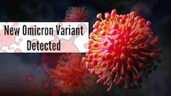 New Omicron Sub Variant BA.5.2 Detected In China: Can It Cause A New Surge In Upcoming Days?