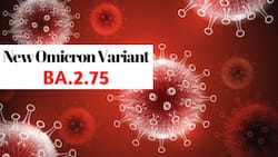 New Omicron Variant BA.2.75 Not Severe, Won't Lead To 4th Wave of COVID-19 In India, Says N.K Arora