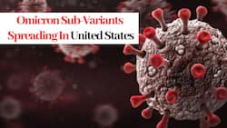 New Omicron Sub-Variants BA.4, BA.5 Spreading Rapidly In US, Leading To 70% Spike In New COVID-19 Cases