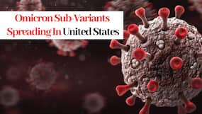 New Omicron Sub-Variants BA.4, BA.5 Spreading Rapidly In US, Leading To 70% Spike In New COVID-19 Cases