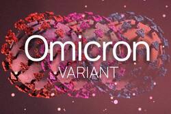 The Shape-Shifting BA.5 Omicron Variant May Be The 'Worst' So Far
