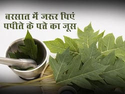 बरसात में होने वाली इन 5 बीमारियों का रामबाण इलाज है पपीते के पत्ते का जूस, जानें इसे पीने के खास फायदे