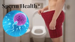 5 Lifestyle Habits That Can Affect Your Sperm Health