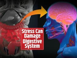 Stress Can Severely Damage Your Digestive System, Lead To Heartburn, Nausea