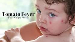 Tomato Fever Fear Grips Kerala: 5 Tips To Protect Your Kids From Catching The Virus Infection