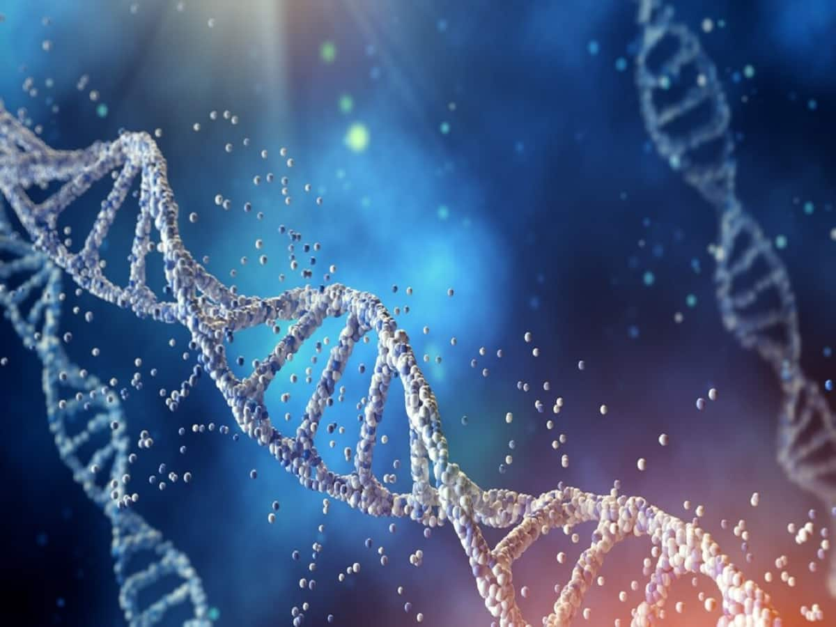 Genomics: A New Era Of Evidence-Based Healthcare Management ...