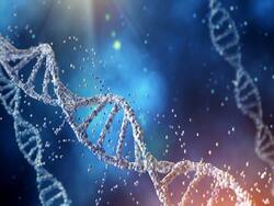 Genomics: A New Era Of Evidence-Based Healthcare Management
