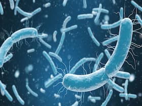 Indian Scientists Develop New Strategy To Revive Efficacy Of Existing Antibiotics, Counter Multidrug-Resistant Bacteria