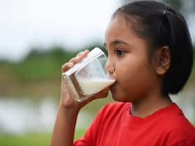 PIL Seeks Clean Milk Supply As 'Fundamental Right', Delhi HC Dismisses Plea