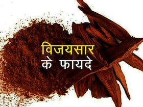 पेट के कीड़े खत्म कर सकता है विजयसार का पाउडर, इन 4 समस्याओं का भी देसी इलाज है यह लकड़ी