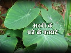 हाई ब्लड प्रेशर के साथ कोलेस्ट्रॉल को भी नियंत्रित करता है साधारण सी सब्जी का ये पत्ता