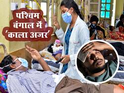 पश्चिम बंगाल में “काला अजर” के मामले मिलने से कई राज्यों पर मंडरा रहा है खतरा! जानें क्या है ब्लैक फीवर