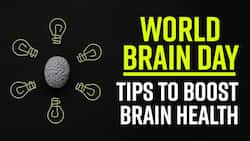 World Brain Day: Here Are 5 Simple Tips To Boost Your Brain Health, Watch Video