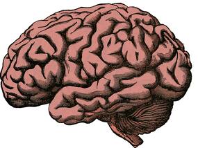 World Brain Day: 6 Foods That Can Adversely Affect Your Brain