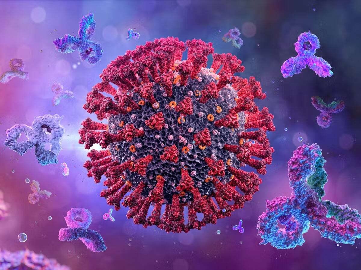 Le coronavirus peut se transformer en une maladie endémique aux États-Unis en deux ans, selon les experts