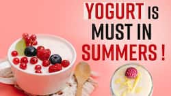 Summer Diet: Know Why You Should Have Yogurt In The Summer Season, Watch Video