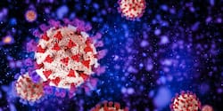 WHO Issues COVID Alert: These Two Omicron Variants Are Causing Current Surge