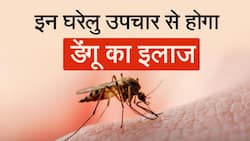 Dengue Fever:  ये घरेलु उपाय आपको बचाएंगे डेंगू बुखार से, Watch Video