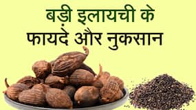 बड़ी इलायची के हैं अनेक फायदे, लेकिन इसका ज्यादा सेवन दे सकता है नुकसान, Watch Video