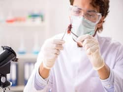 मच्छर जनित रोगों से लड़ने के लिए ICMR तैयार करेगा 100 कीट वैज्ञानिक, बताएंगे डेंगू-मलेरिया से लड़ने का तरीका