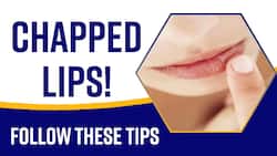 Chapped Lips: Suffering From Chapped Lips Then Follow These Tips, Watch Video