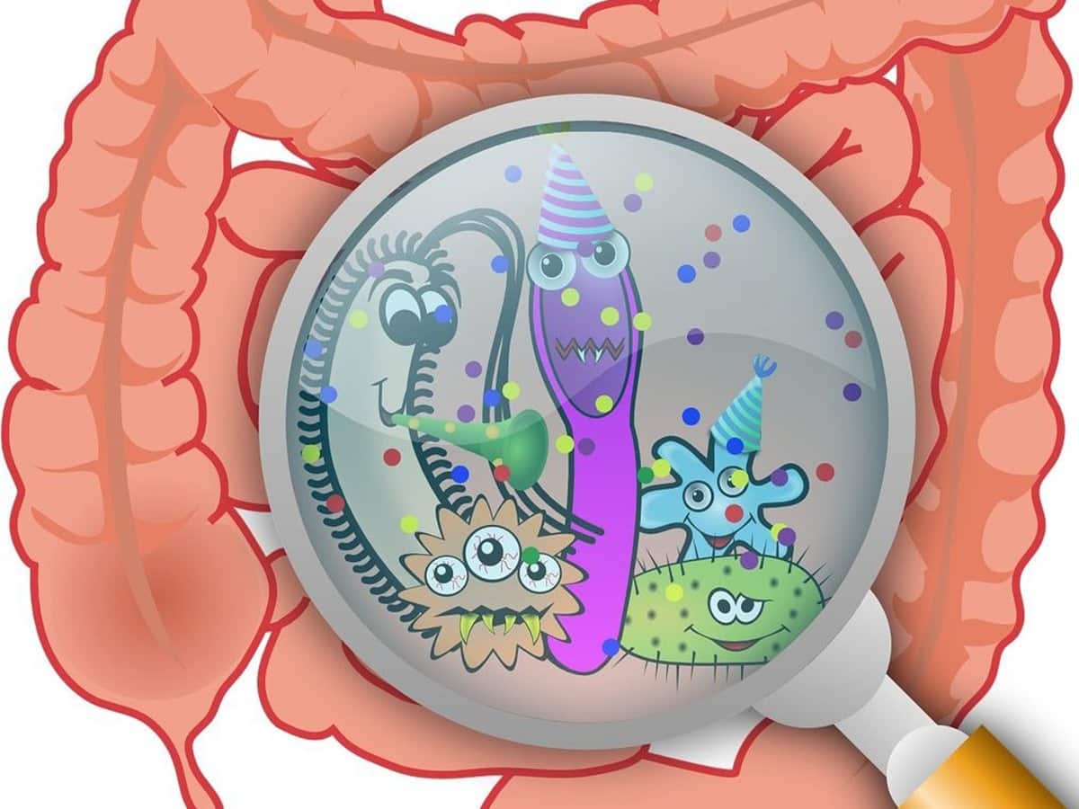 digestive issues digestive issues