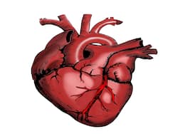 7 Unique Methods To Take Care Of Your Heart Health Without Doctors    Help