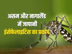 असम में थम नहीं रहा जापानी बुखार का प्रकोप, 38 लोगों की मौत, 238 संक्रमित