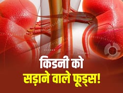 डेली इन 5 फूड्स को खाने से अंदर ही अंदर सड़ रही है आपकी किडनी! जानें किन फूड्स से खराब होती है किडनी