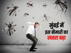 मुंबई में डेंगू, मलेरिया के बाद अब इस बीमारी का बढ़ा खतरा! सिर्फ 3 दिन में 40 मामलों से परेशान हुए डॉक्टर्स